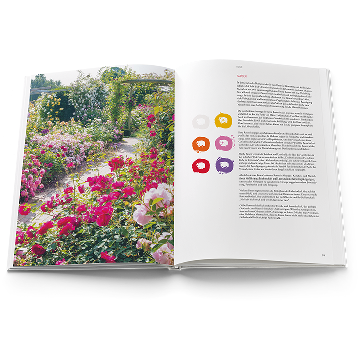 The Language of Flowers Book in German